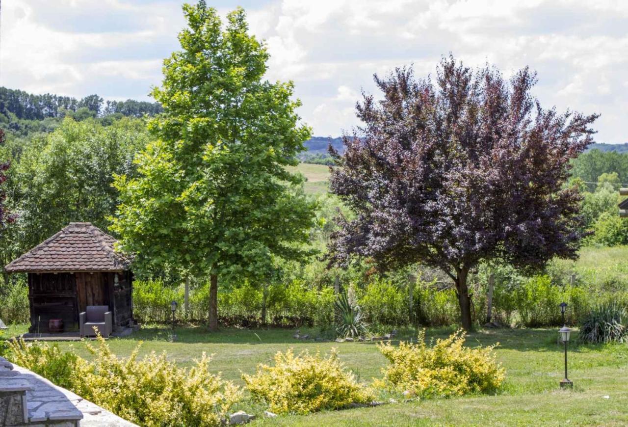 Brvnare Rodjak Sa Sela Villa Mionica Exterior foto