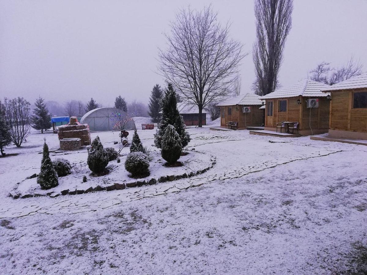 Brvnare Rodjak Sa Sela Villa Mionica Exterior foto